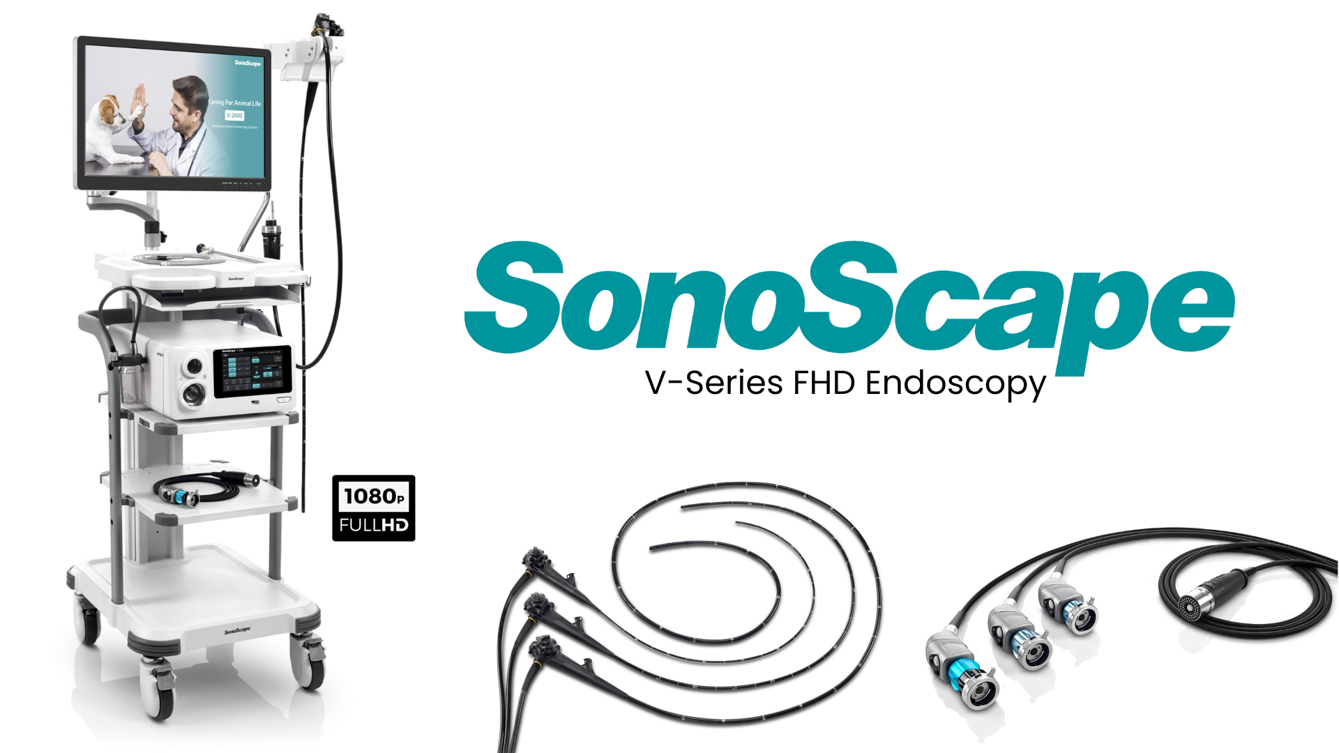 flexible veterinary endoscopes, flexible endoscopy equipment, veterinary endoscopy, veterinary flexible endoscopy, portable endoscopy, pre-owned endoscopes, used endoscopy equipment