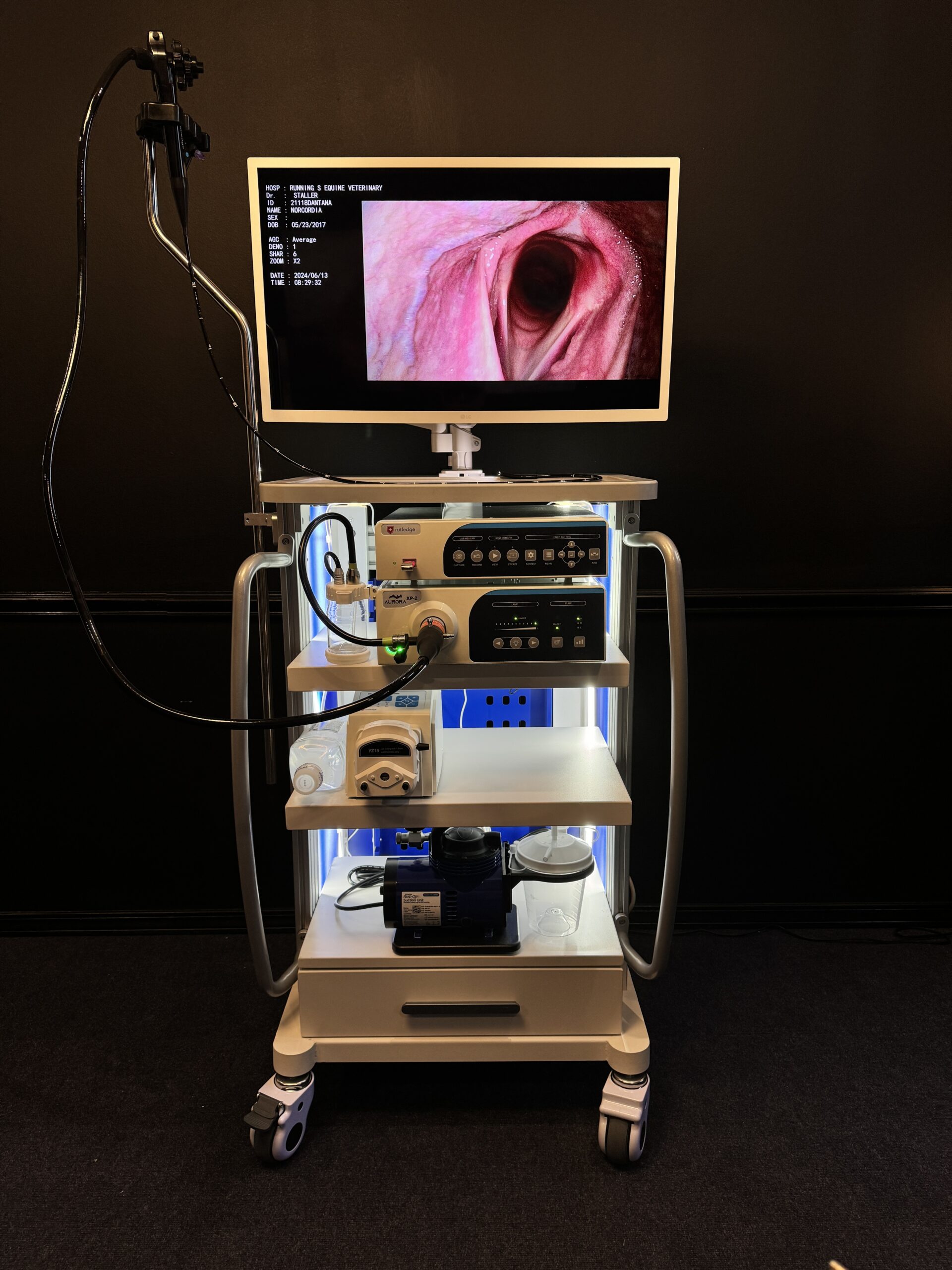 Veterinary endoscopy cart with large display showing procedure