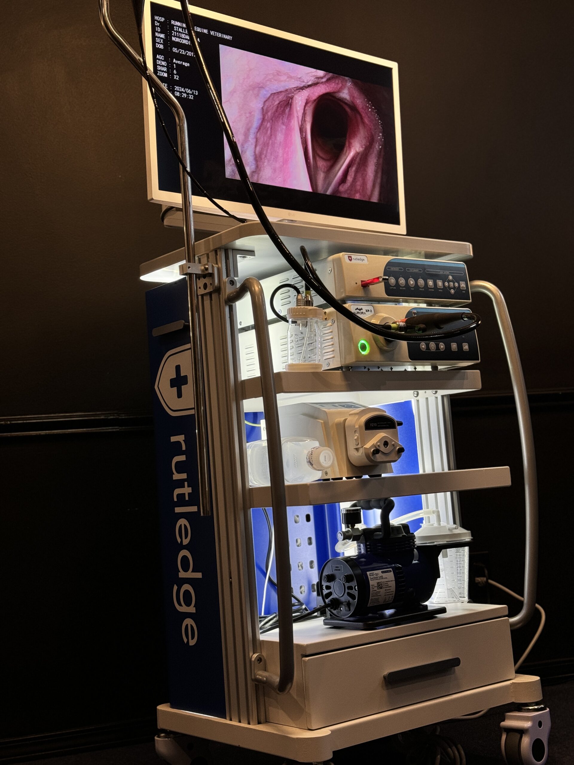 Medical endoscopy equipment displaying internal organ on monitor